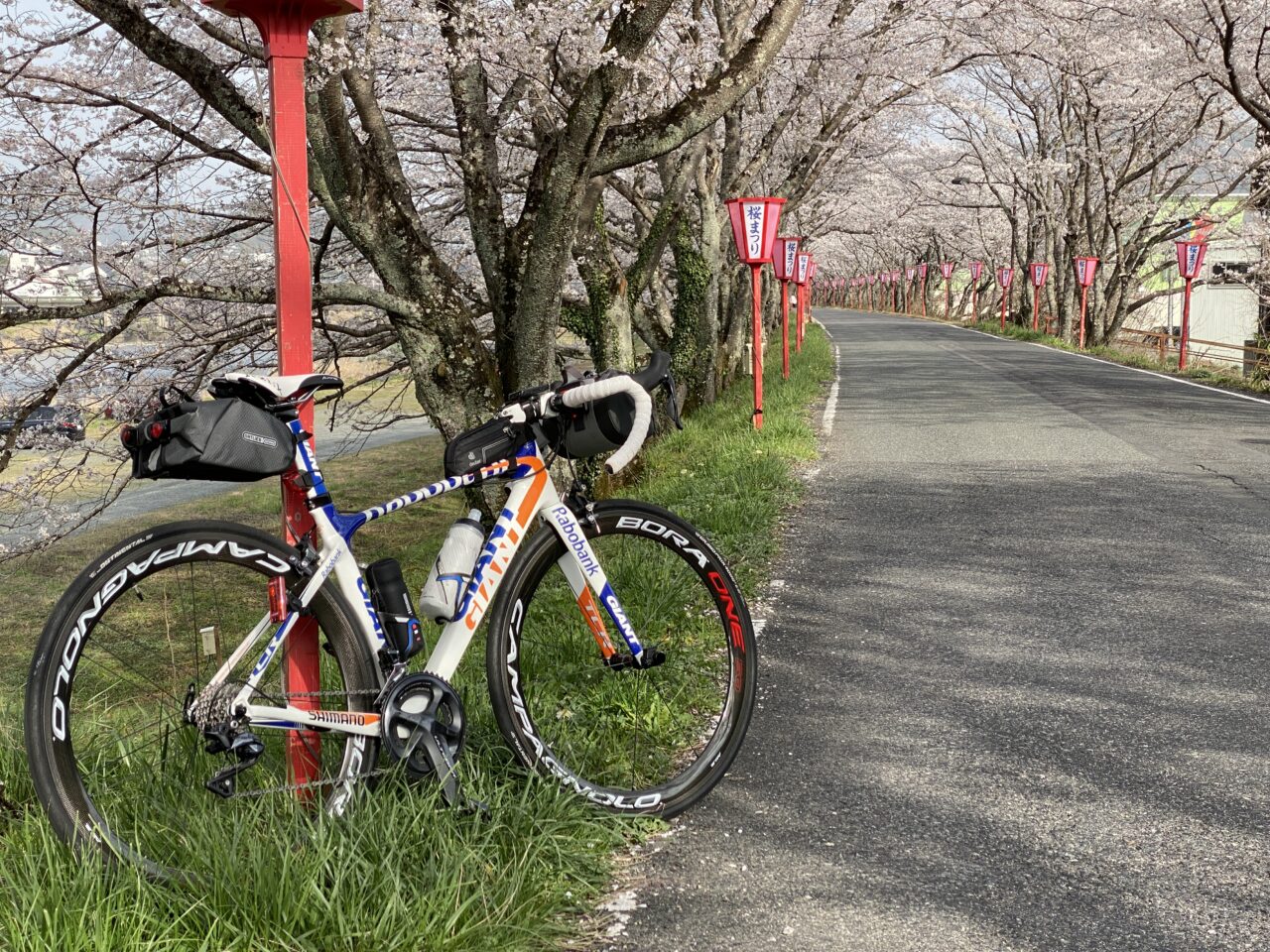 【サイクリング】ロードバイクで久世のトンネル桜を目指す 岡山県